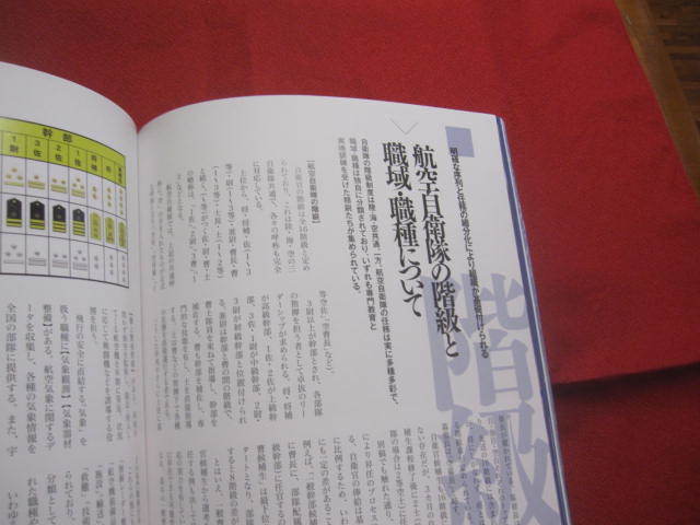 ☆日本の空を護る　　航空自衛隊のすべて　　圧倒的なビジュアルで魅せる「空の守護者」のすべて　　[特別付録]ＤＶＤ２時間　　　【軍事】_画像8