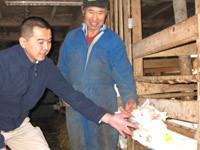 shi... goat milk 200ml (15 pcs set ) no addition Hokkaido production person . pet . quietly ... Hokkaido production raw goat milk raw .100% use 