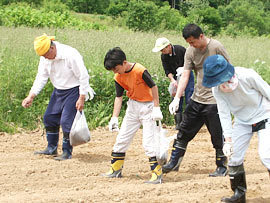 最高級 北海3号玄蕎麦(そばの種)450g(北海道栗山産)生産量の少ない希少な新品種「北海3号」プレミア種【メール便対応】_画像8