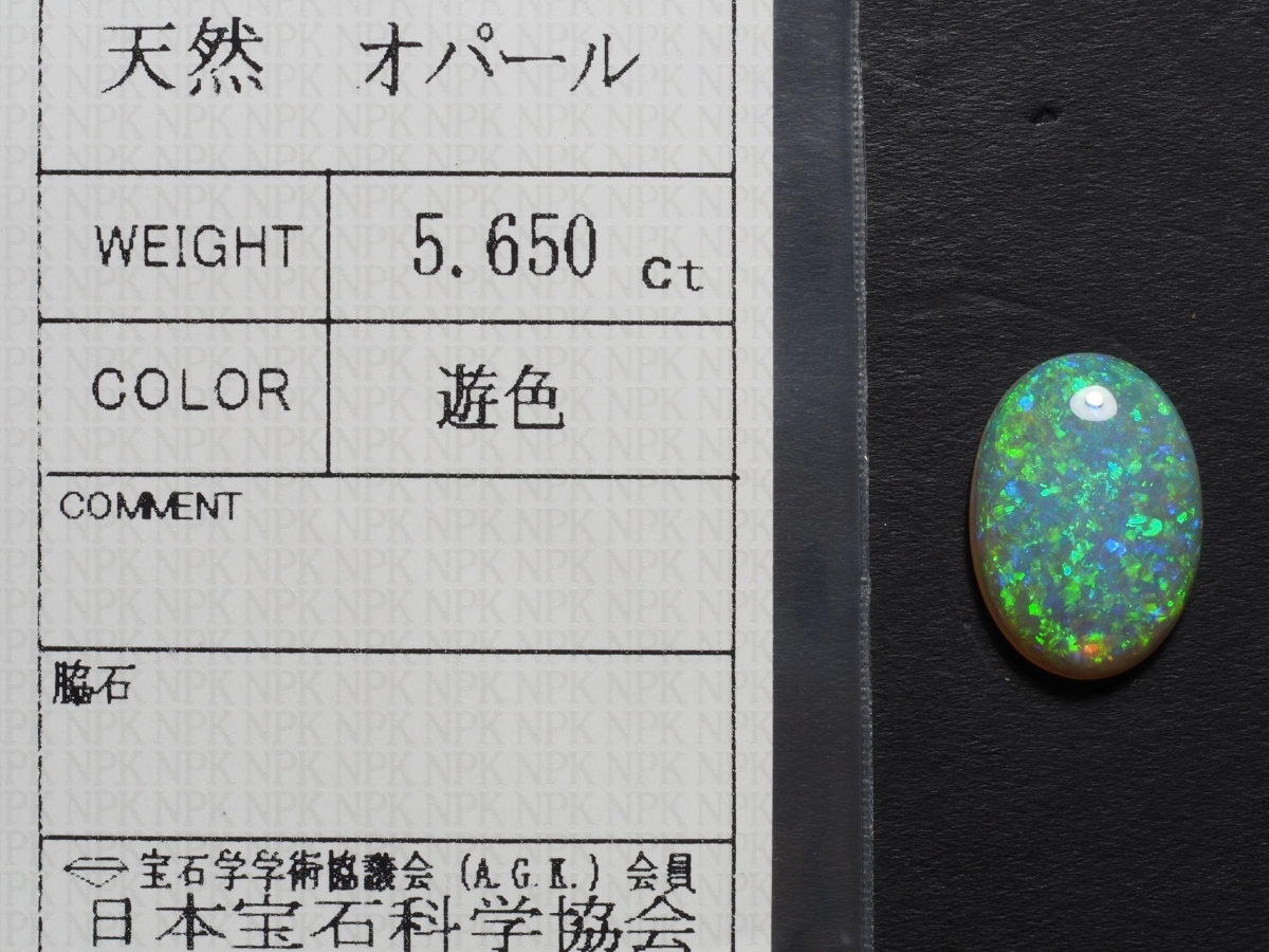 天然オパール ルース 5.650 ct、ソーティング付、ケース入り-