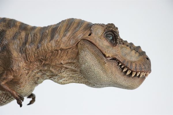 Nanmu 本心楠改 1/35 ティラノサウルス レックス 肉食 King 恐竜 