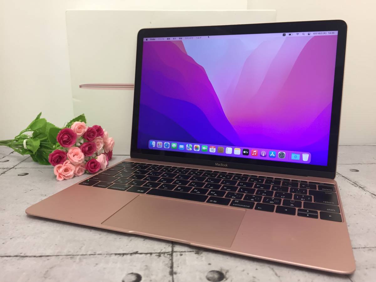 良品 12インチ】Apple MacBook(Retina,12-inch Early 2016) A1534 Core