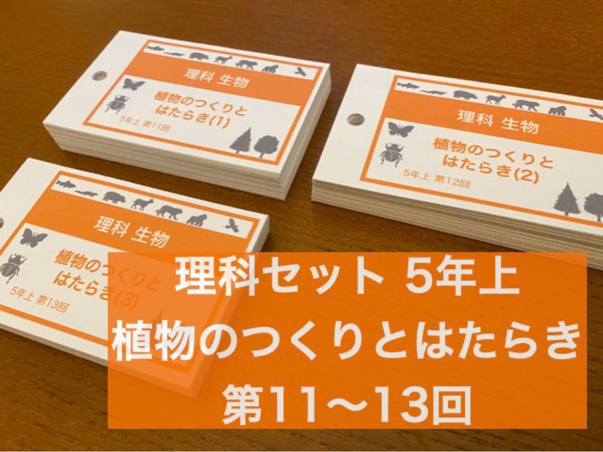 中学受験)【5年上 理科 第11~13回】暗記カード 予習シリーズ 中学受験)【5年上 理科 第11~13回】暗記カード 予習シリーズ
