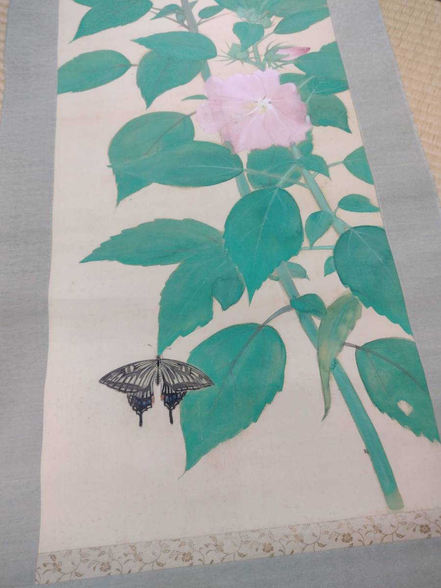 安西哲明 掛け軸 日本画 芙蓉 アゲハチョウ 箱入り | www.jupitersp.com.br