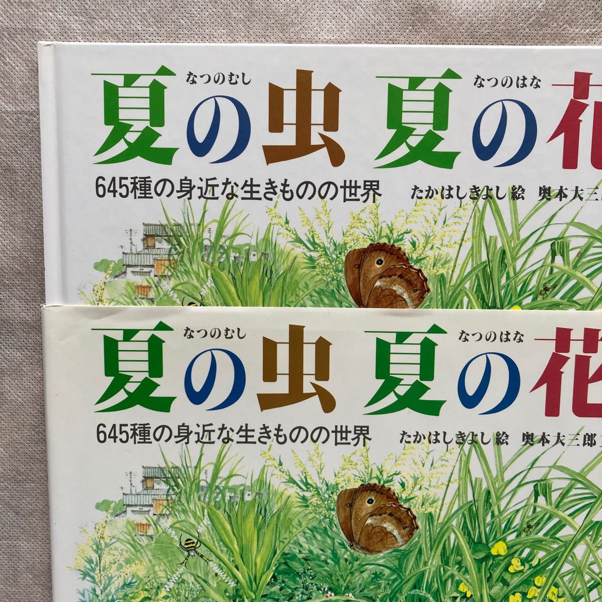 絵本　福音館のかがくのほん　木の本　野の草花　夏の虫　夏の花　計３冊 福音館の科学シリーズ