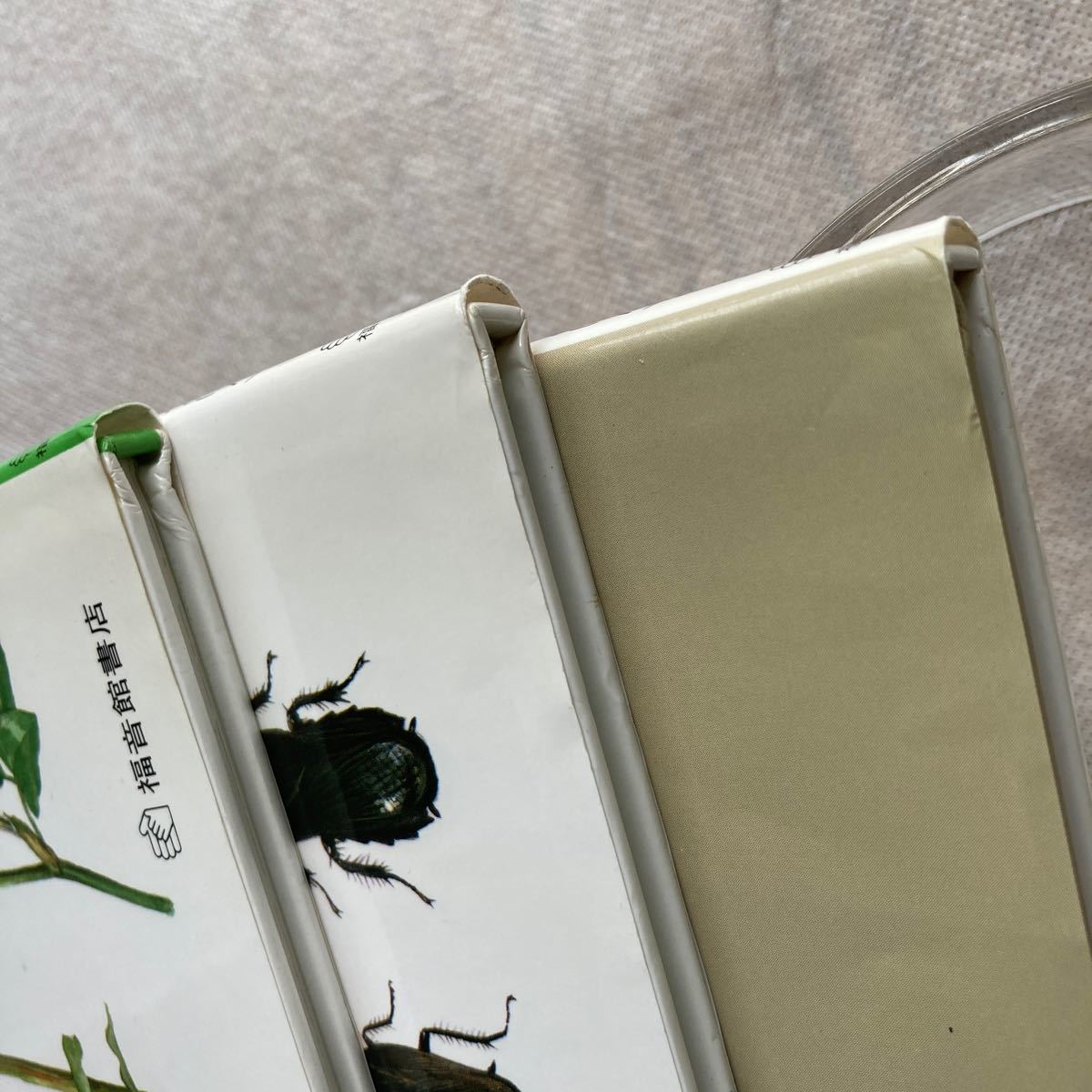 絵本　福音館のかがくのほん　木の本　野の草花　夏の虫　夏の花　計３冊 福音館の科学シリーズ