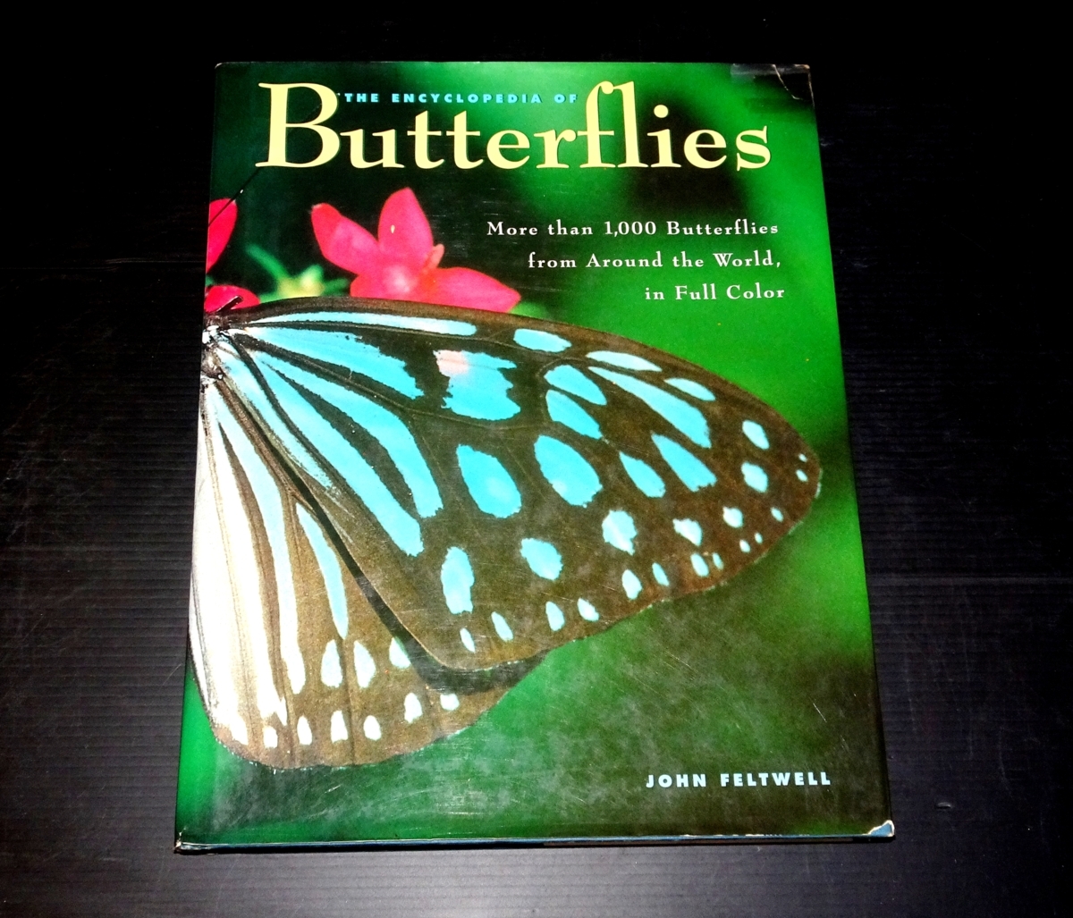 [The Encyclopedia of Butterflies(Full color)] John Feltwell