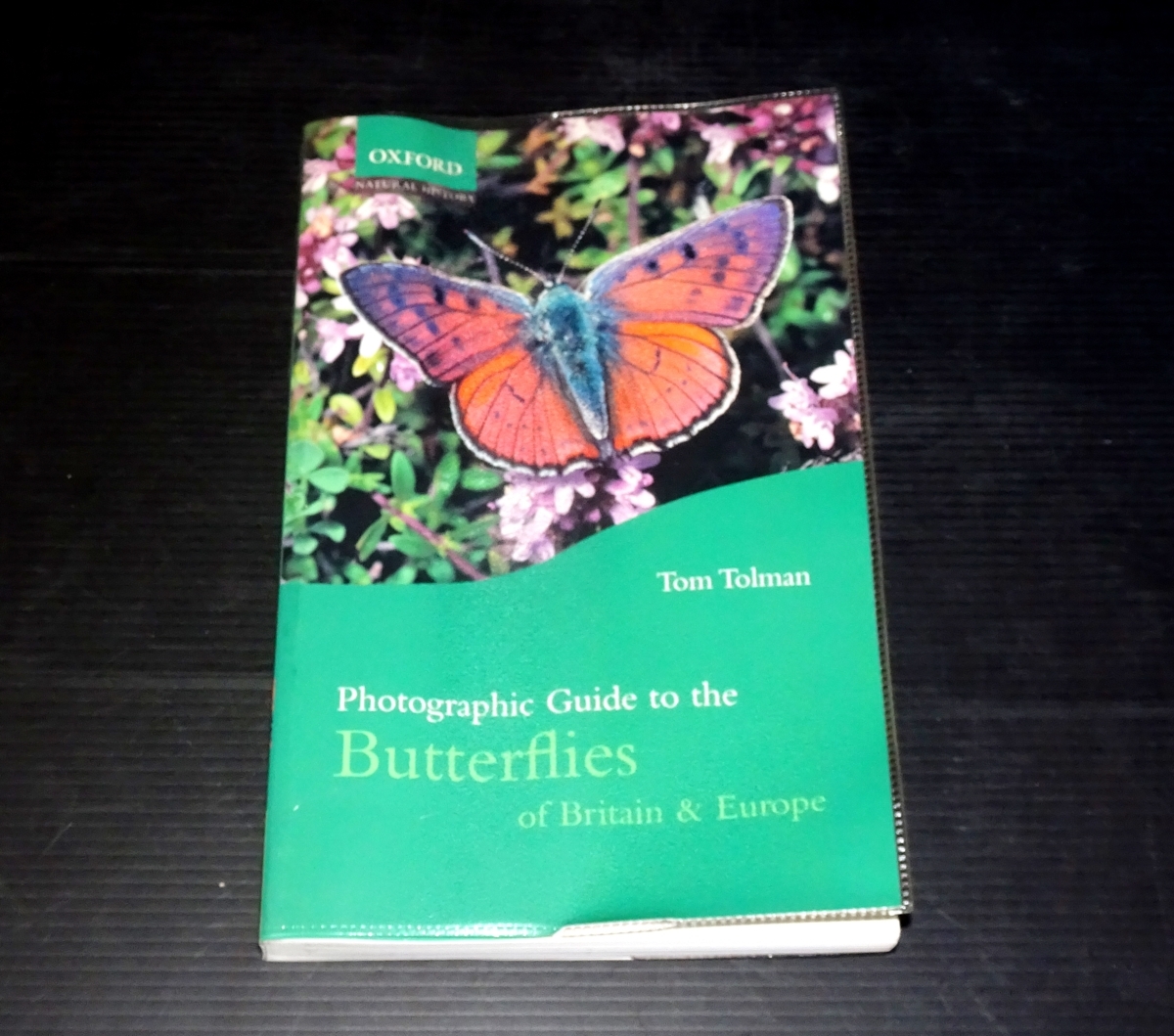 『Photographic Guide to the Butterflies of Britain & Europe』 Tom Tolman_画像1