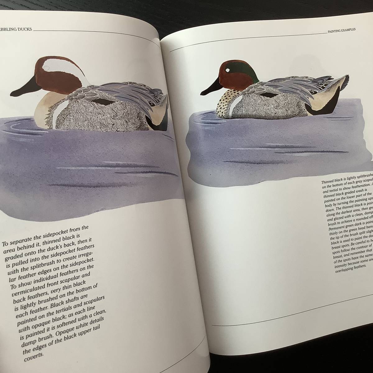 洋書■ARTBOOK_OUTLET■C4-033★バードペインティング 水鳥の描き方 HOW TO PAINT DABBLING DUCKS 絶版 貴重本 入手困難 絵付参考の画像7