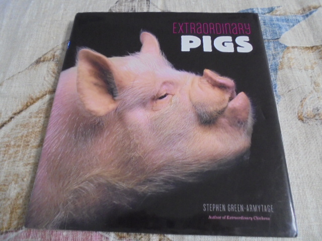 洋書　豚の写真集　PIGS　可愛いブタ　並外れたブタ　優しいブタ　いろいろ_画像1