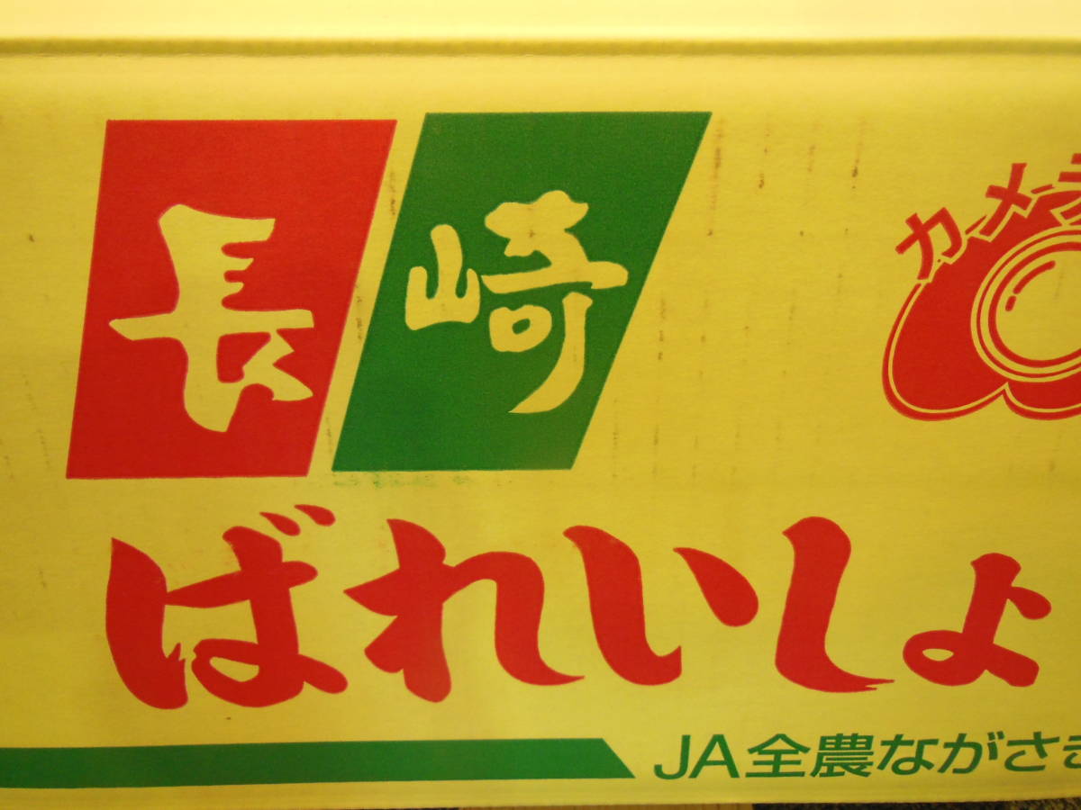 メークイン　長崎県産　JAながさき県央　等級　大　約9.5㎏～10㎏入り　多少変形果/擦れ等有　ご家庭用_画像6