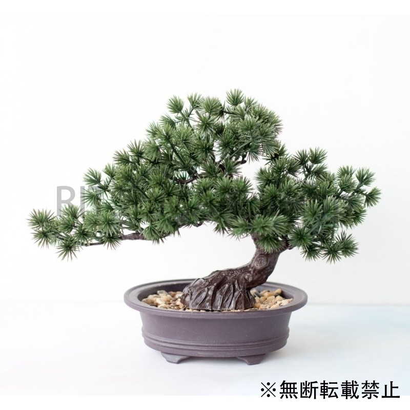 盆栽 フェイクグリーン 人工観葉植物 家の居間 庭 机 松葉ヒノキ Sale 60 Off 人工観葉植物