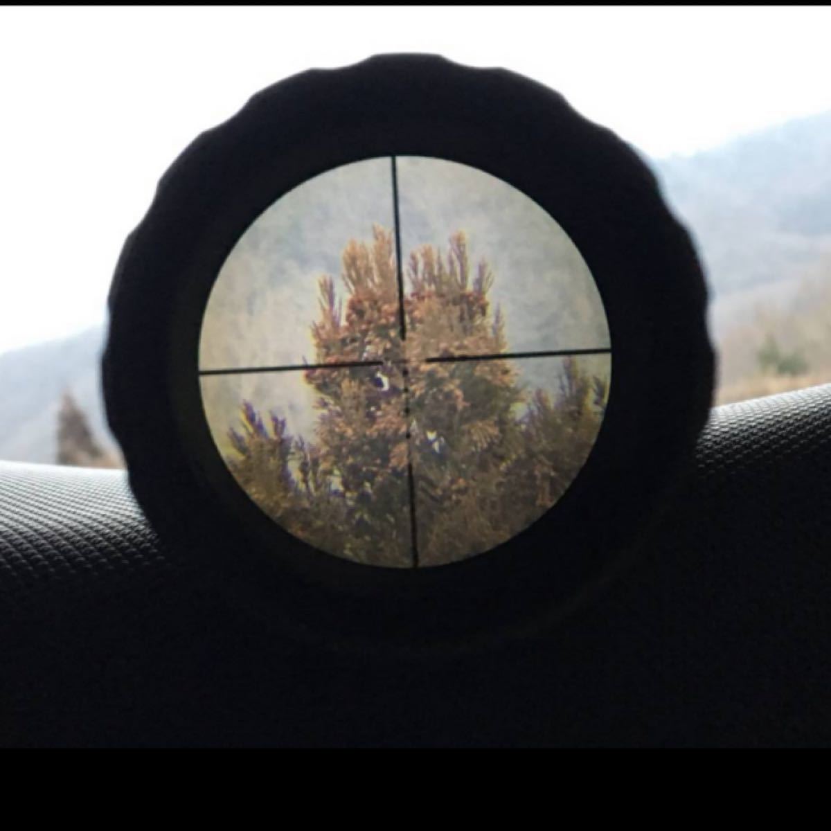 Bushnell ブッシュネル AR Optics 3-9x40 ライフルスコープ 箱付 スナイパー 猟銃 マウントリング レクテ