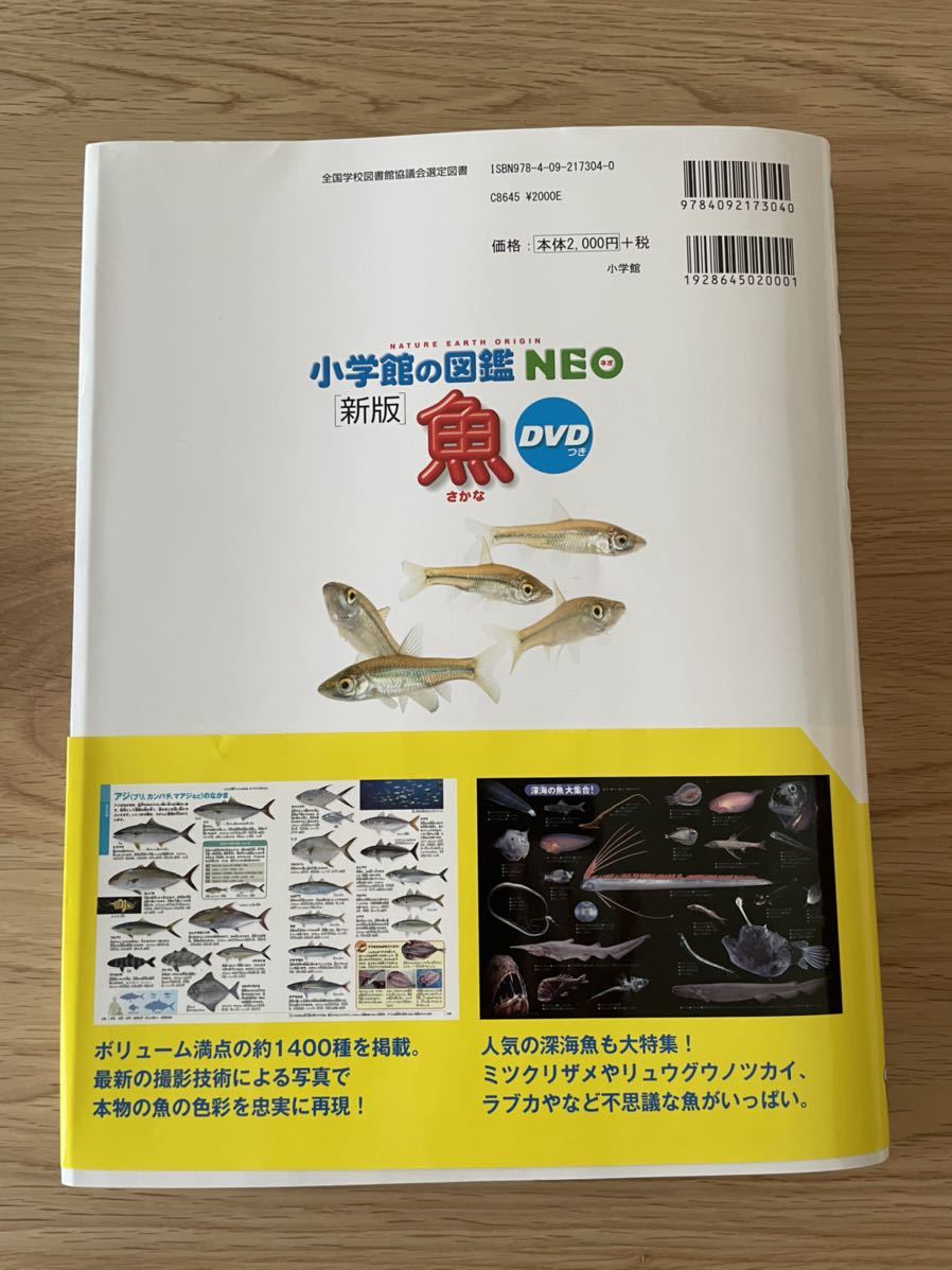  Shogakukan Inc.. иллюстрированная книга NEO рыба DVD есть 