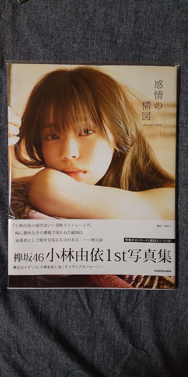 小林由依 1st写真集 ポストカード無し 古書