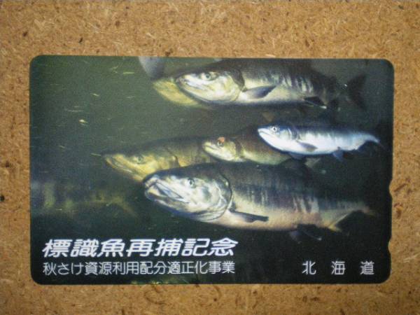 doub* fish salmon autumn .. Hokkaido telephone card 