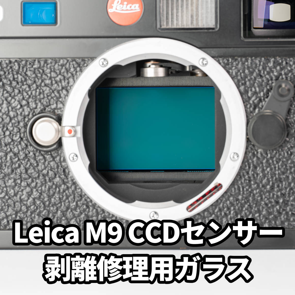 Leica M9 CCDセンサー剥離対策ガラス修理用部品 カメラ、光学機器 Leica M9 CCDセンサー剥離対策ガラス修理用部品 カメラ、光学機器