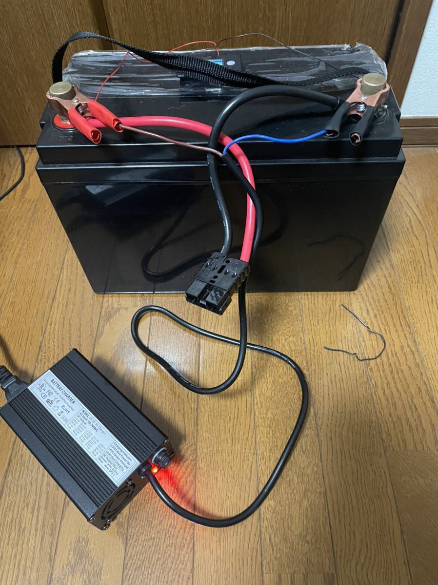 【送料無料】リチウムイオンバッテリー 24v 100ah 残量系 アンダーソンコネクター付き ミンコタ モーターガイド エレキ リチビー 2