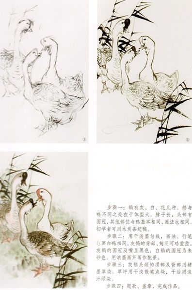 9787539335155　鴨鵝　ガチョウとアヒルの描き方　模写宝典　中国画技法　中国絵画_画像3