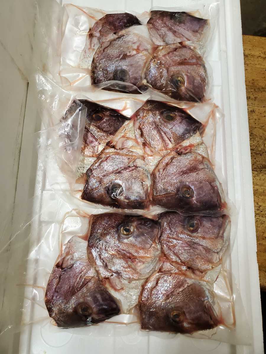 税込 真鯛の頭5キロ位 半割の頭です あら煮 かぶとやき 税込 真鯛の頭5キロ位 半割の頭です あら煮 かぶとやき