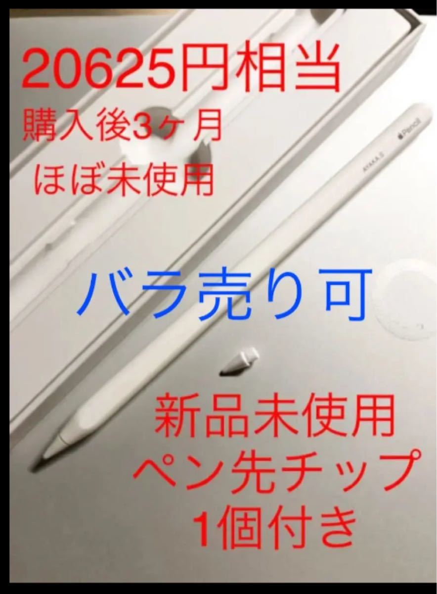 Apple Pencil アップルペンシル 第二世代 新品 チップ tip ペン先 替芯 1個付き ipad MU8F2J/A 