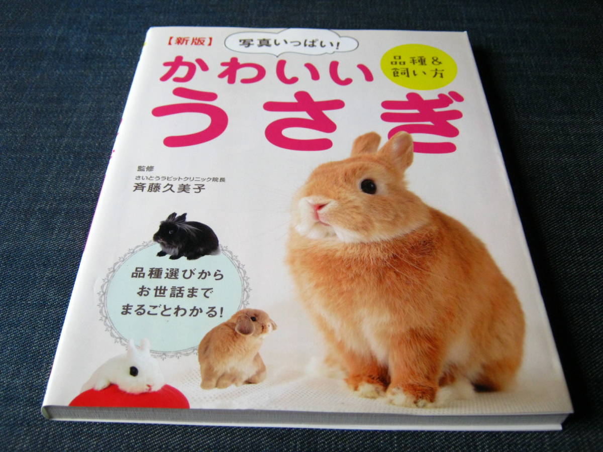  new version photograph fully! lovely ... goods kind &.. person rabbit .. person breeding method 