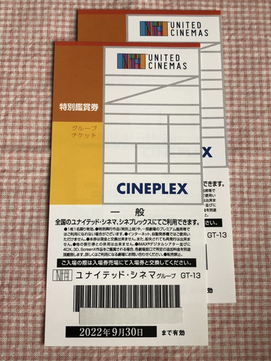 爆買い！ ユナイテッドシネマ 鑑賞券 映画 一般 大人 2枚 有効期限 2月