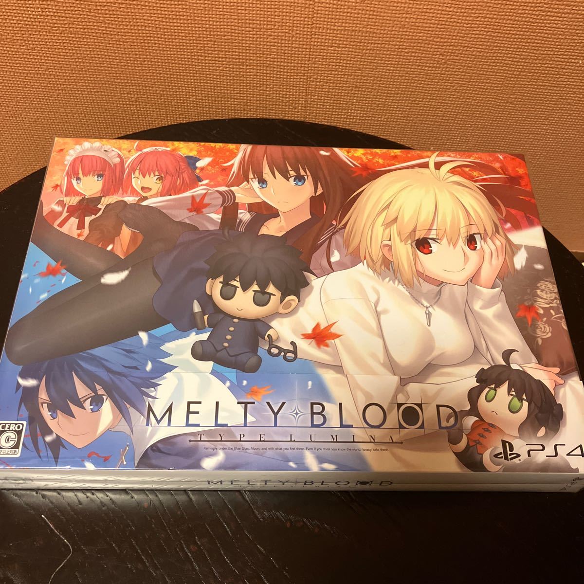 Melty Blood PS4 初回限定版 新品・未開封 | www.richinsurancegroup.com