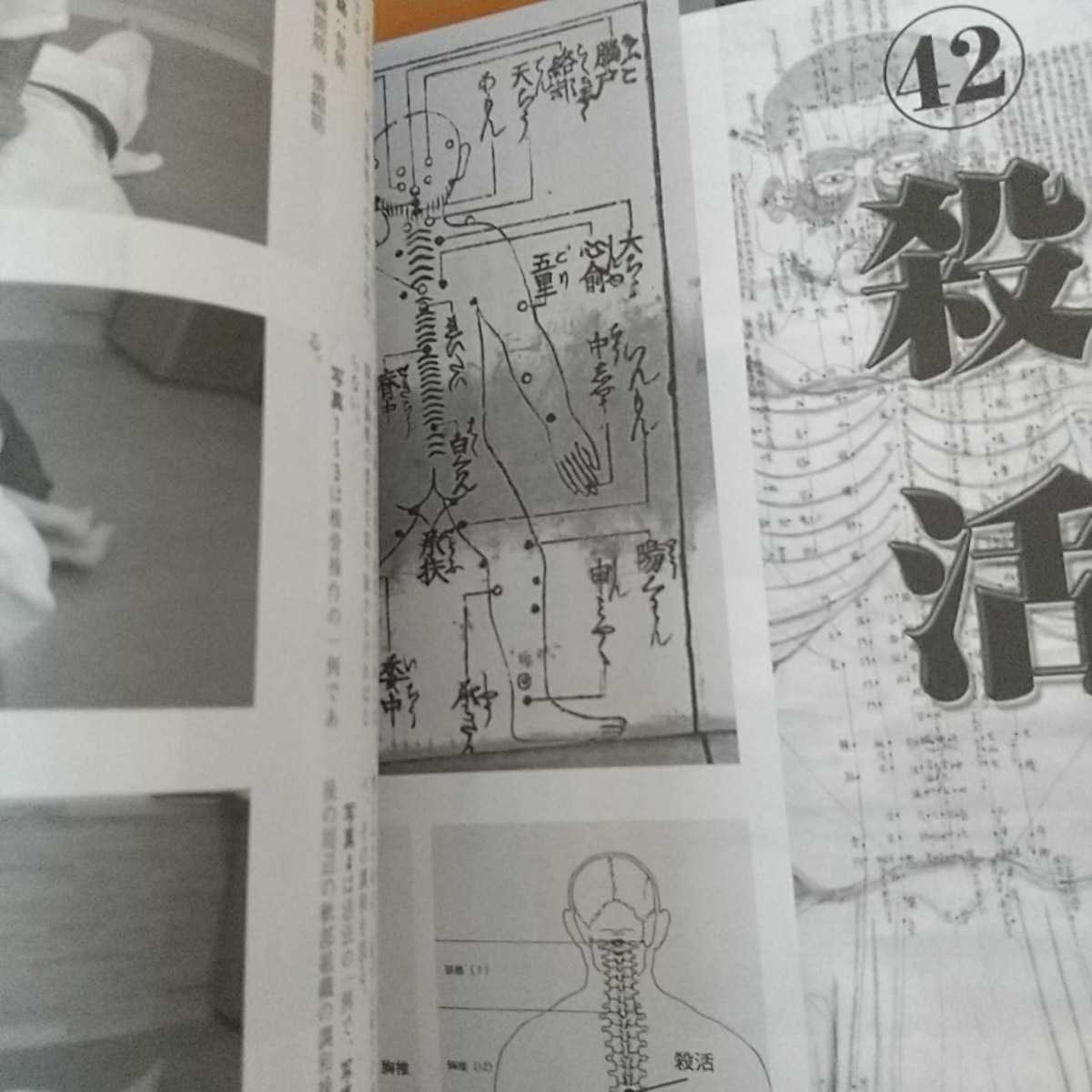 武道家のための人体の急所 古武道 武術 拳法 柔術 合気道 空手 整体 武道家のための人体の急所 古武道 武術 拳法 柔術 合気道 空手 整体