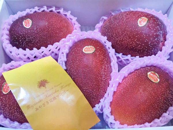 Good】みやざきマンゴー 宮崎完熟マンゴー 6~7玉 約3kg 宮崎産 www