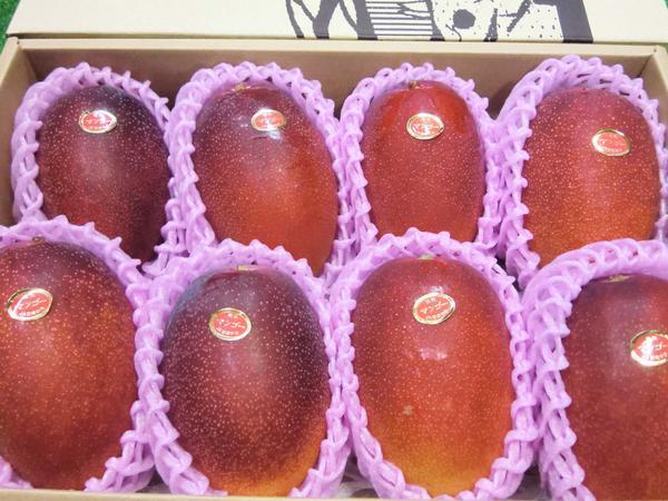 Good】宮崎産『宮崎完熟マンゴー』8~12玉入り 約5kg www.gastech.com.tr