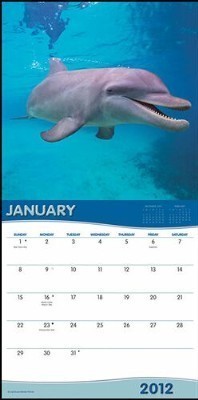 2012年 輸入 クジラとイルカ カレンダー〔新品〕 12CP-003_画像2