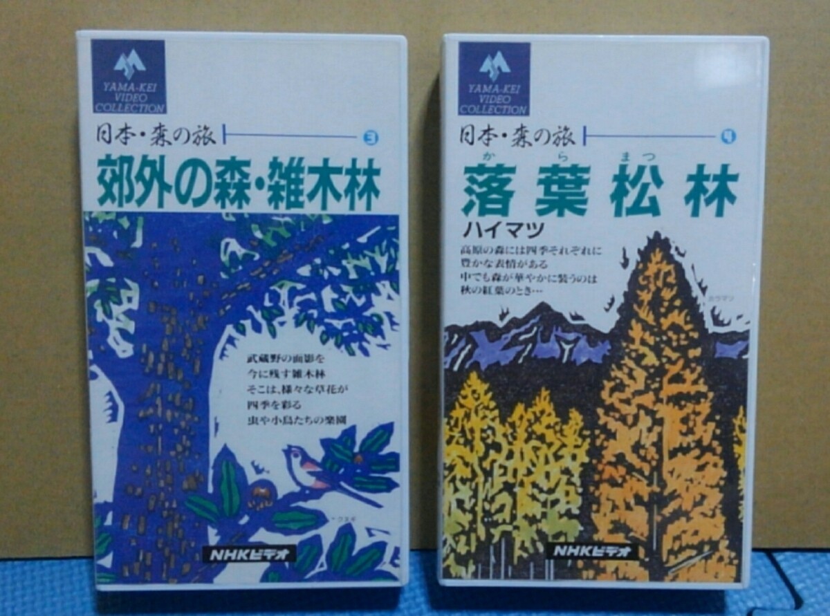 VHS2 шт. *NHK видео Япония * лес. .3+4. вне. лес *. дерево .|. лист сосна . высокий matsu закадровый текст . сырой .