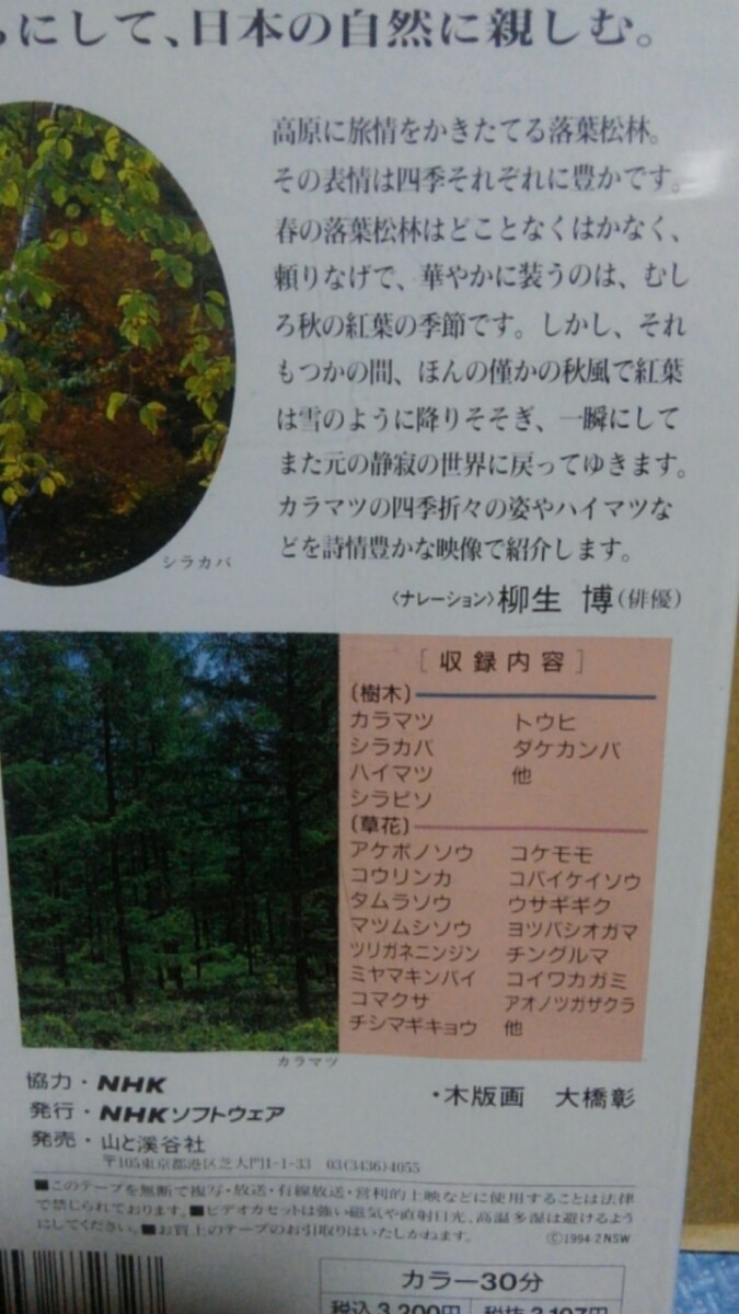 VHS2 шт. *NHK видео Япония * лес. .3+4. вне. лес *. дерево .|. лист сосна . высокий matsu закадровый текст . сырой .