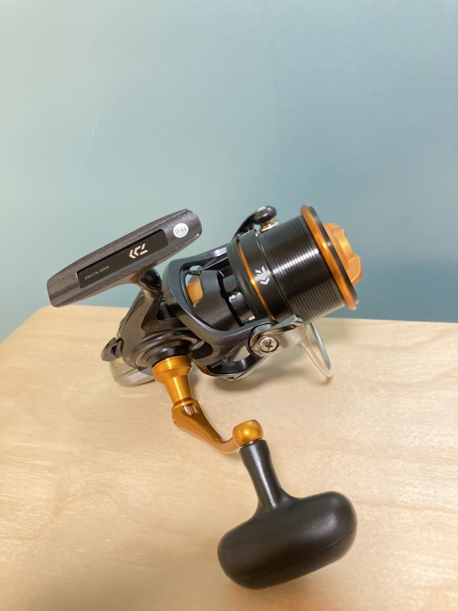 新品】19 キャスティズム 25QD ダイワ 投げ釣り スピニングリール