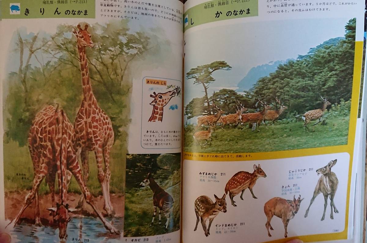 小学館の学習百科図鑑5 動物の図鑑~全240ページうちカラー 小学館の学習百科図鑑5 動物の図鑑~全240ページうちカラー