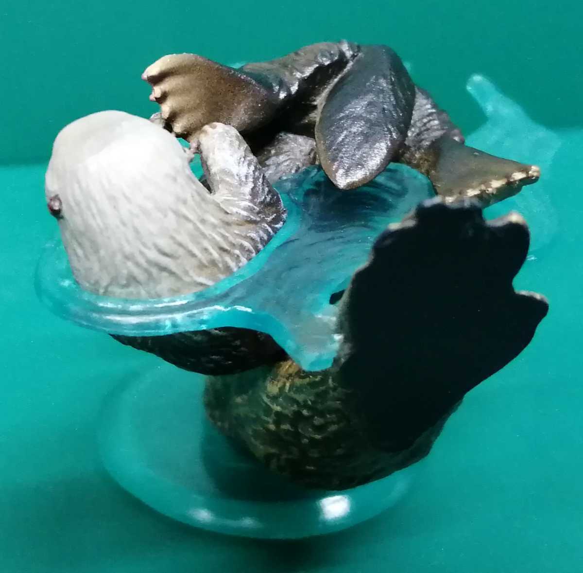 奇譚クラブ ネイチャーテクニカラー 海遊館ミュージアム ラッコ 奇譚クラブ ネイチャーテクニカラー 海遊館ミュージアム ラッコ