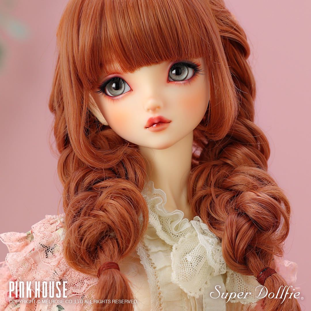 ハンドパーツ応募券無し 新品 ボークス Volks ドルパ 京都19 スーパー