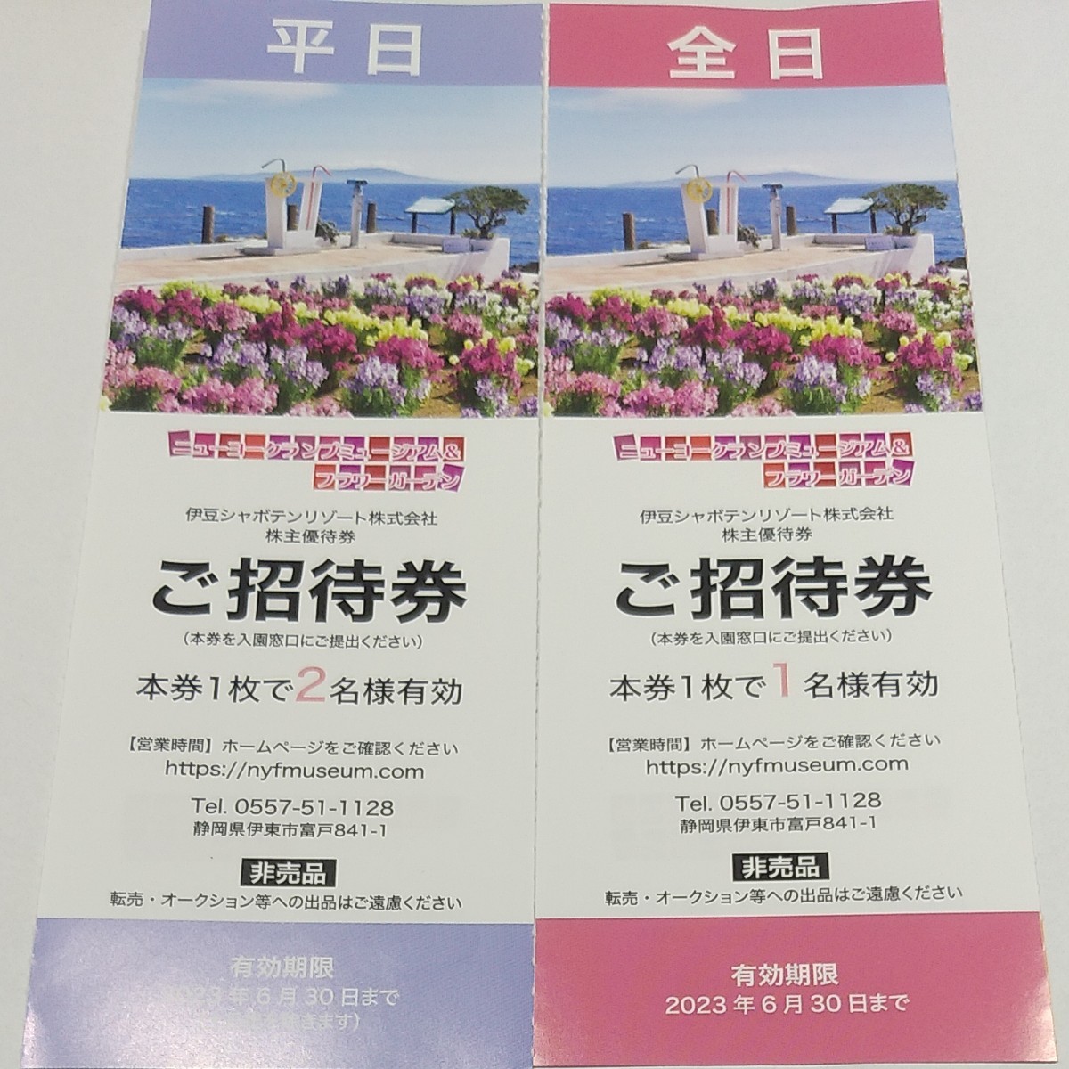 週間売れ筋ニューヨークランプミュージアムフラワーパーク 平日 ペアご招待券 ❌4枚=8名 遊園地 ニューヨークランプミュージアムフラワーガーデン ご招待券