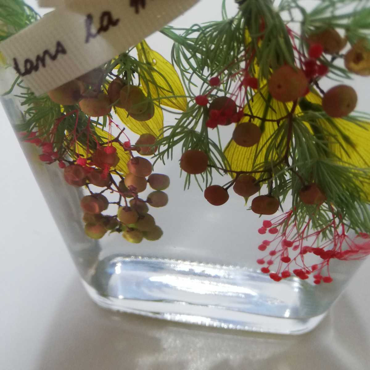  herbarium bottle glass bottle 14cm [ interior miscellaneous goods ornament Blizzard flower flower interior herbarium ]