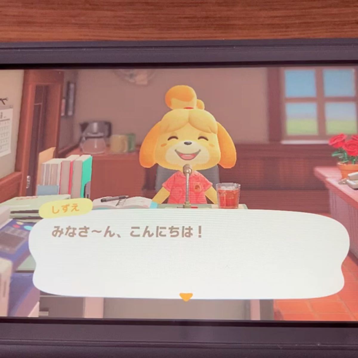 Nintendo Switch Lite 本体 と あつまれどうぶつの森ソフト