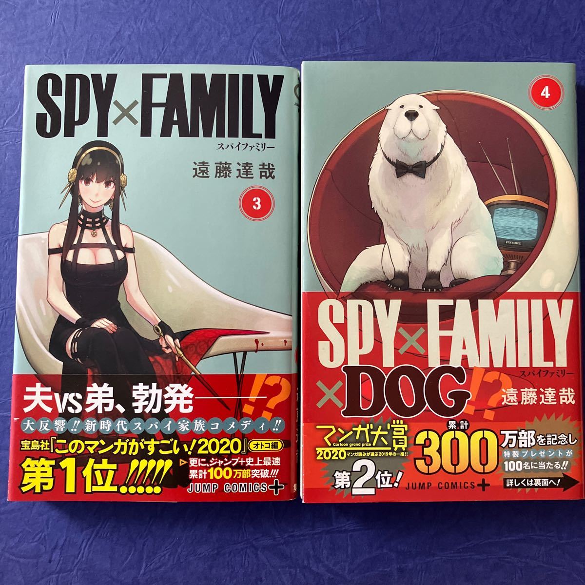 SPY×FAMILY スパイファミリー 1〜4巻 セット - 少年漫画