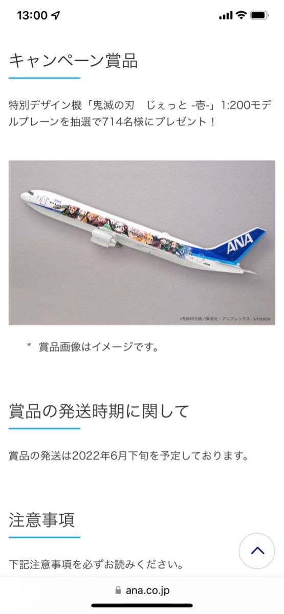 非売品】鬼滅の刃 × ANA オリジナルグッズ当選品 じぇっと -壱