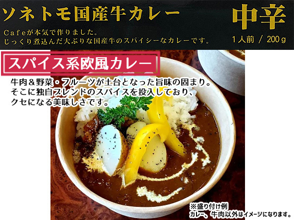 高級国産牛カレー レトルト スパイシーカレー 200ｇ×5袋 ビーフカレー 福山 ギフト プレゼント So-netmo ソネトモ 税率8％_画像2