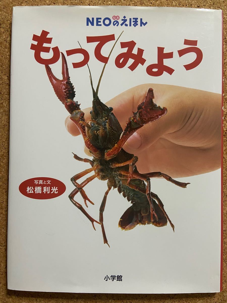  絵本「もってみよう （ＮＥＯのえほん）」松橋利光／写真と文