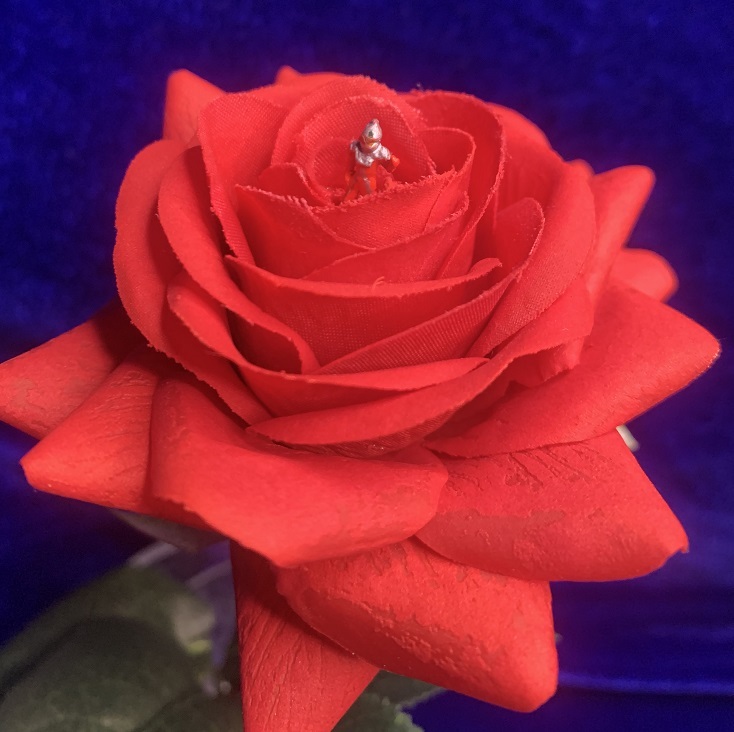 TFO7 ステルス田中雷工房 バラセブン 塗装済み完成品 薔薇 ウルトラセブン 第31話 悪魔の住む花 トレフェスオンライン WF ULTRASEVEN