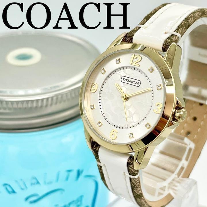 155 COACH コーチ時計 レディース腕時計 新品未使用 シグネチャー 人気 