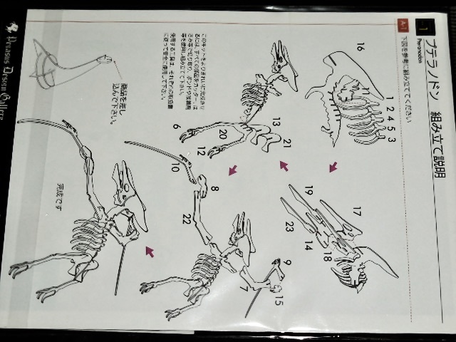 ウラノペガサスデザインギャラリー 竜組シリーズ ティラノサウルス プテラノドン カッティング済ペーパーパズル_画像3