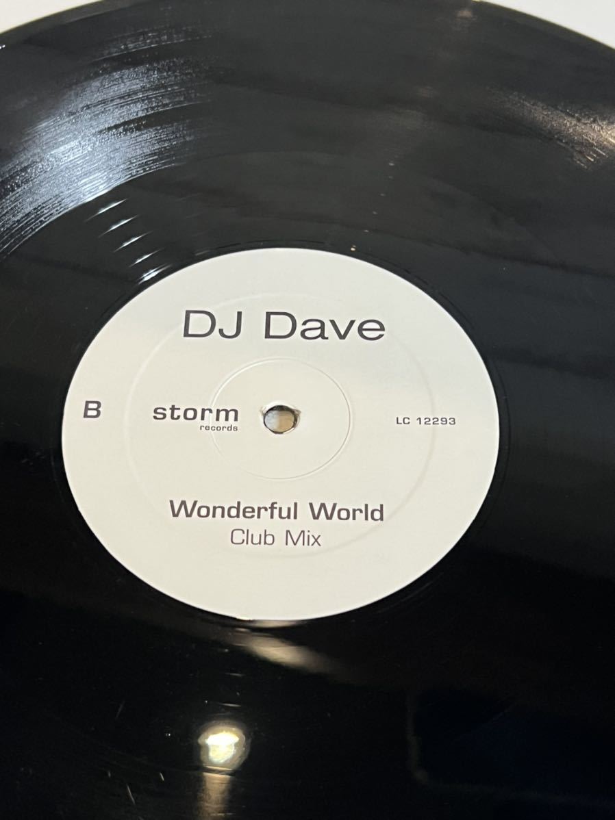 LPレコード DJ Dave Wonderful World clue mix_画像2