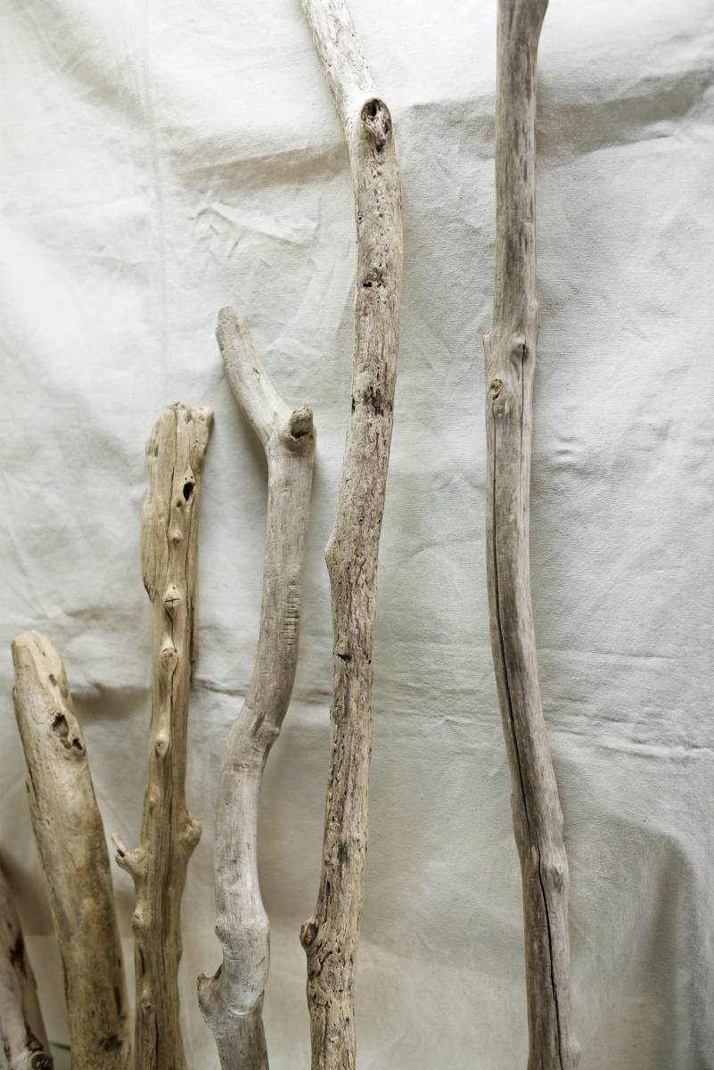 SEASIDEinterior☆細枝流木の6本セット,Cool driftwood for decorating 88_流木の風合い！